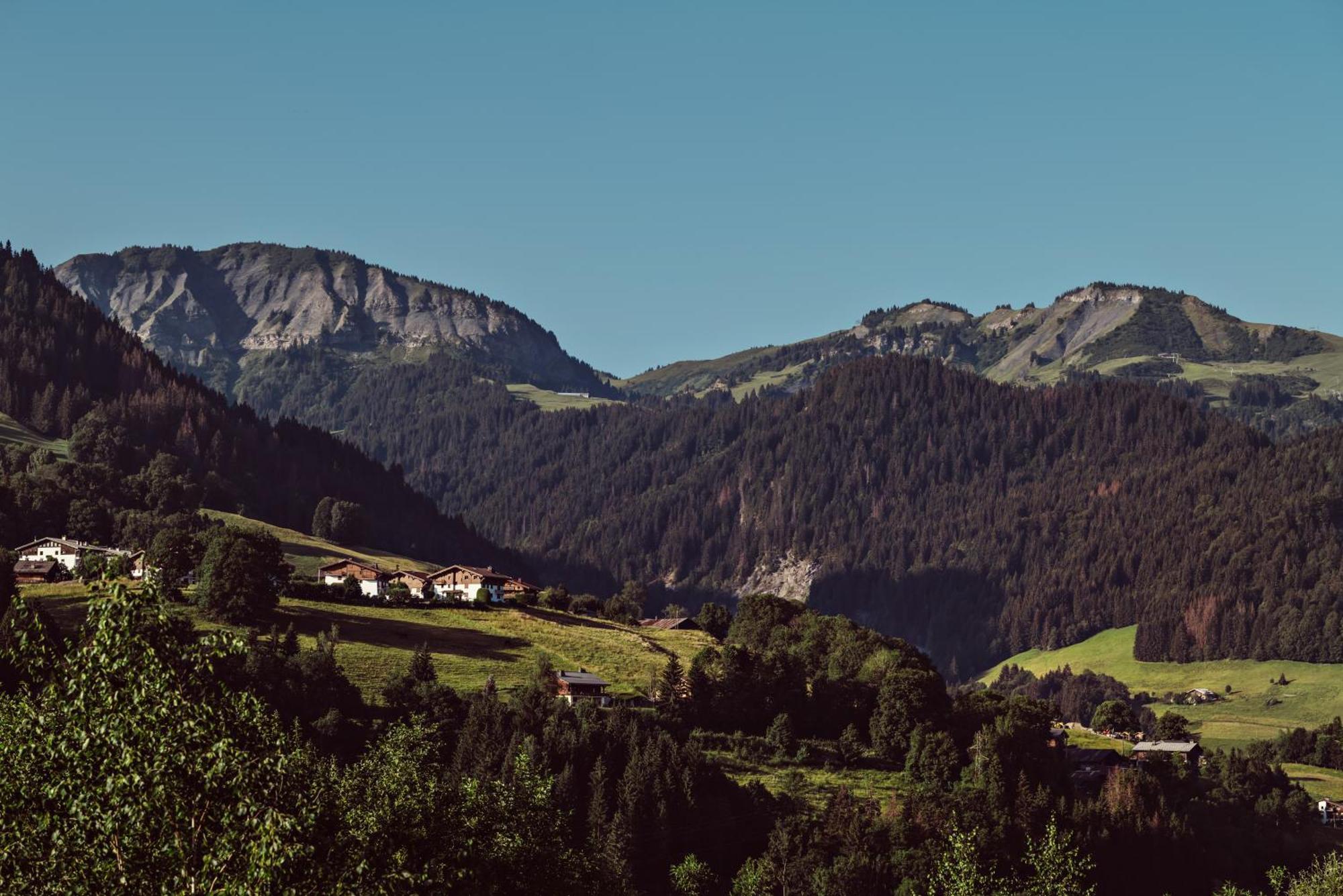 L'Alpaga, A Beaumier Hotel Megeve Exterior photo